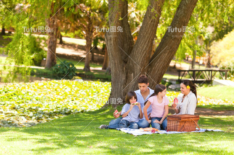 可爱的家庭野餐在公园