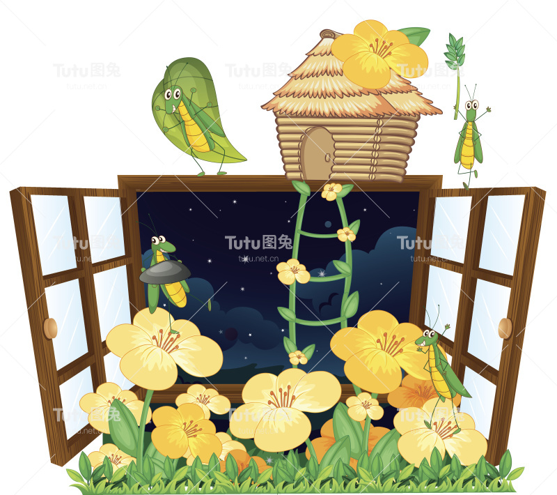 蚱蜢，鸟屋和窗户