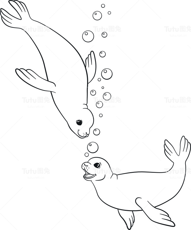 着色页面。两只可爱的小海豹在游泳。