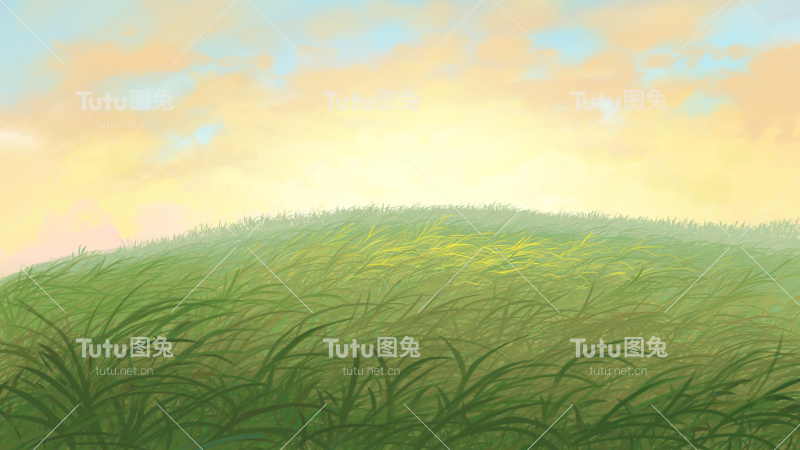 草地