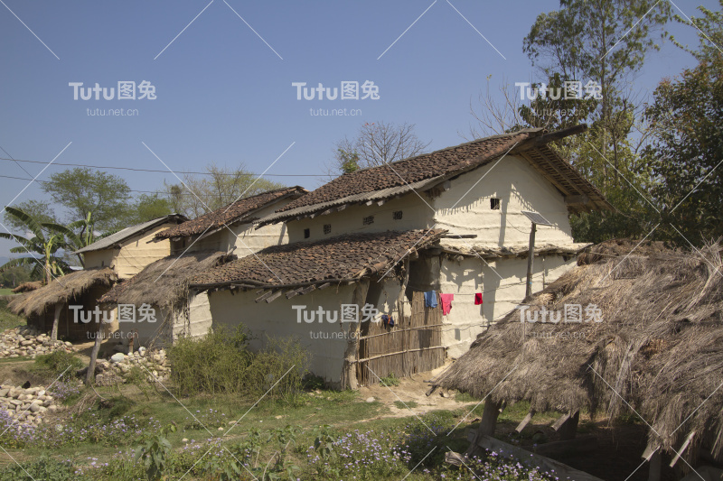 尼泊尔Terai的传统taru房屋