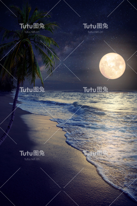 海滩与满月