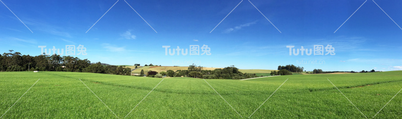 全景grassland