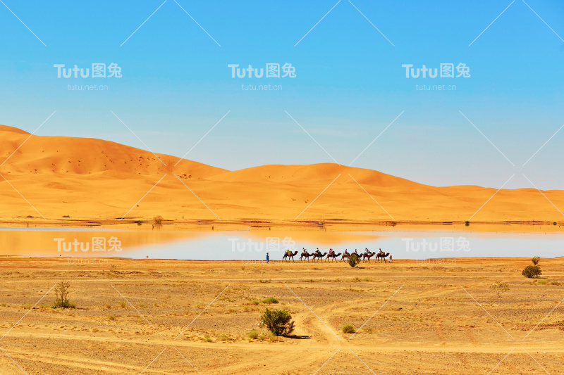 撒哈拉沙漠中的绿洲湖，Merzouga，非洲