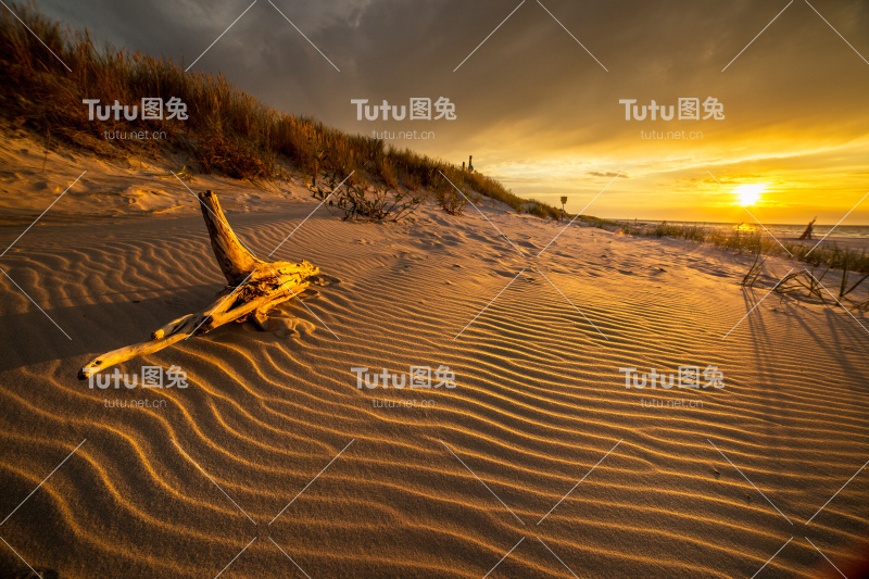 波兰北部海滩上的沙丘
