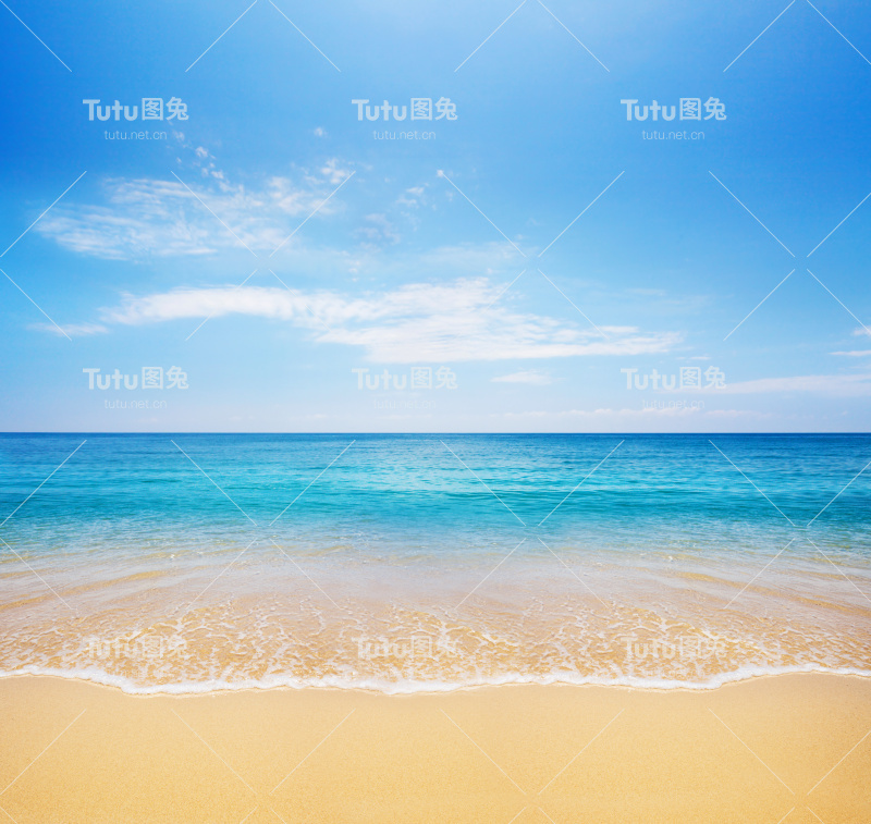 海滩及热带海