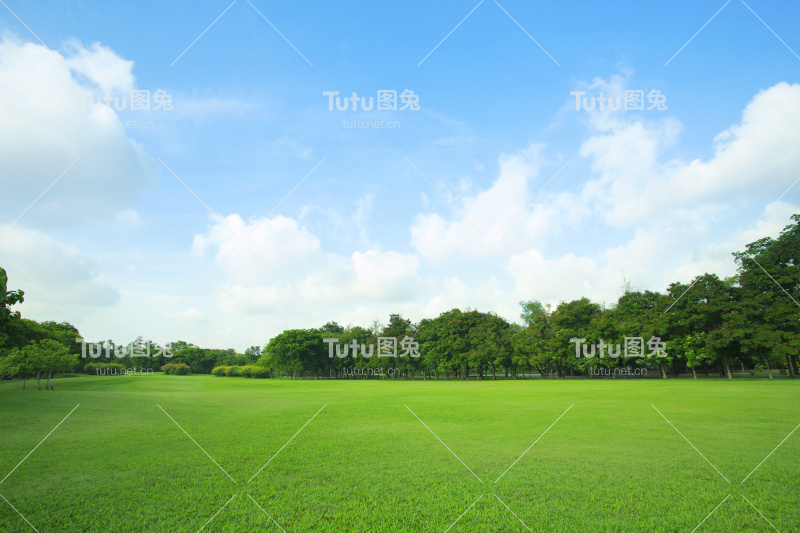 公园里的绿地
