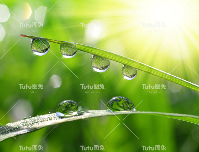 露滴