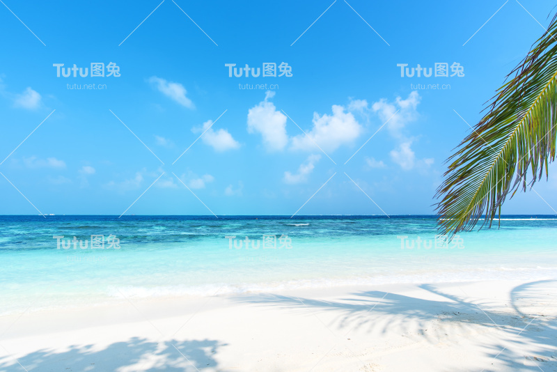 夏天海滩背景