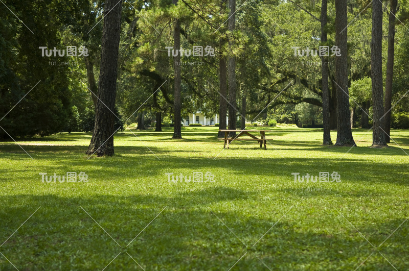 绿草草坪，野餐桌和树