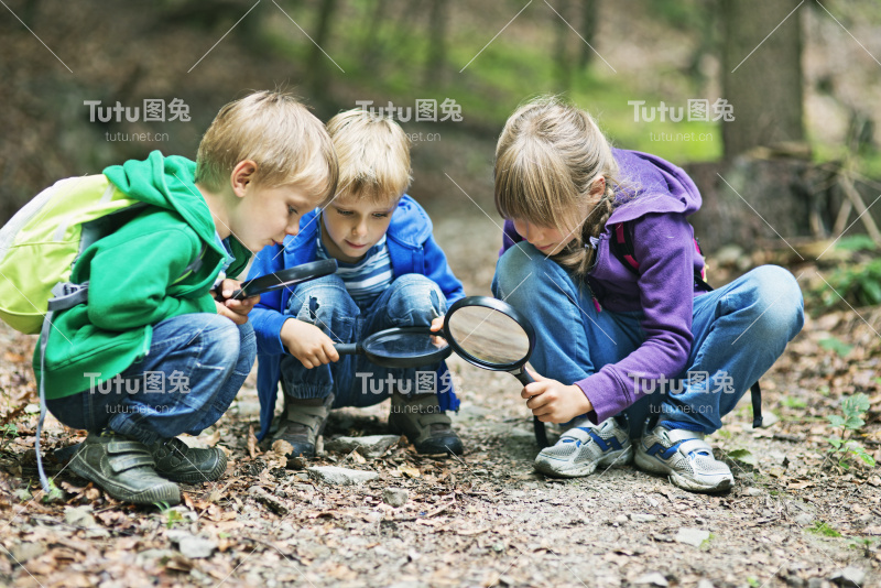 发现大自然的奥秘