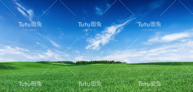 全景春天景观，XXXXL 68mpix -绿色的田野，蓝色的天空