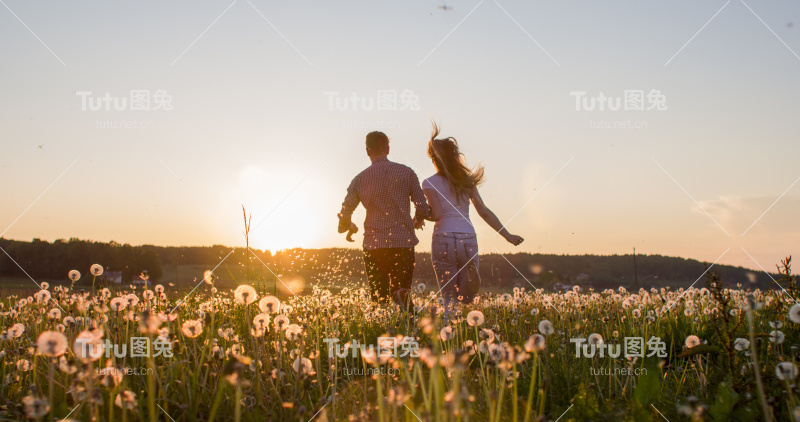 一对夫妇在蒲公英田上奔跑的后视图