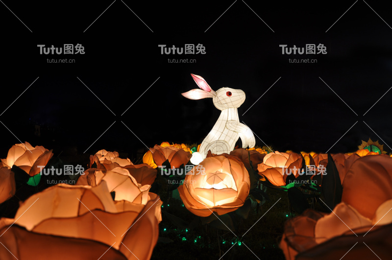 中国中秋兔在玫瑰园灯笼