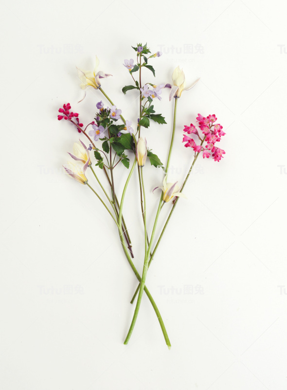 花,组成flatlay