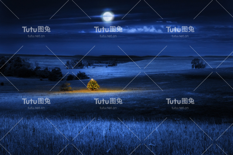 明亮的照亮遥远的圣诞树在夜晚户外与月亮