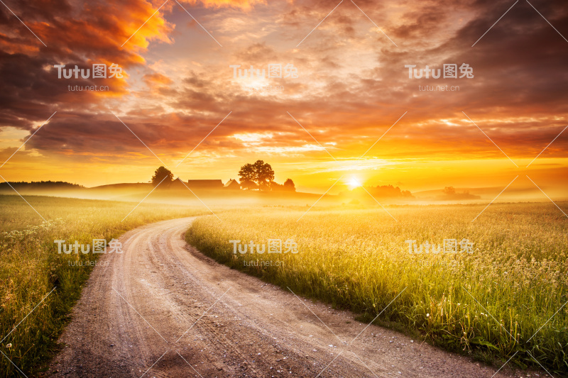 清晨乡村路穿过雾蒙蒙的风景-多彩的日出
