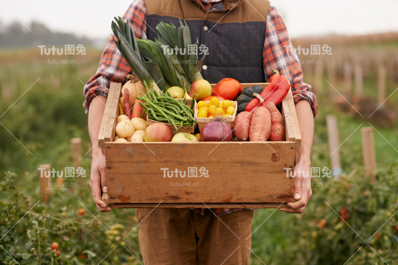 农场新鲜蔬菜!