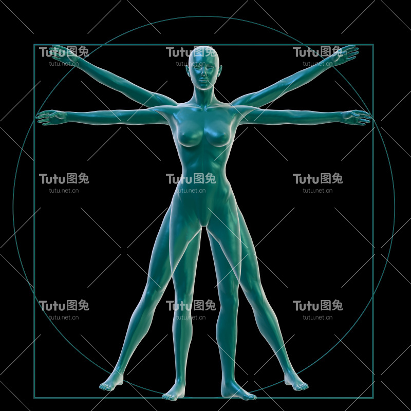 维特鲁威女人的黑色