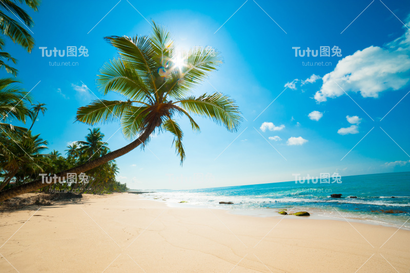 热带海滩