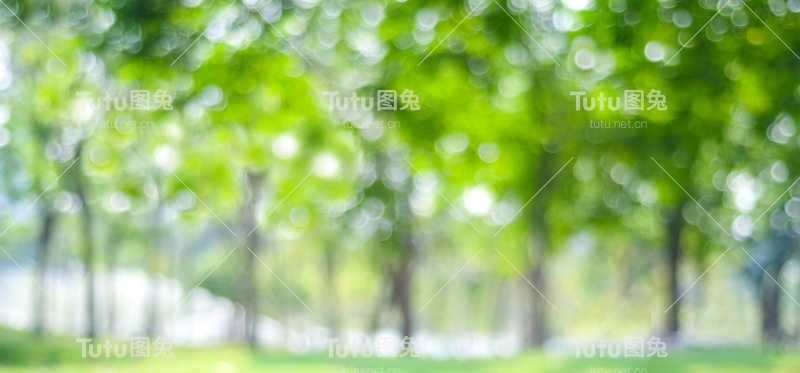 以散景灯光为背景，模糊公园、自然、花园、春夏季节