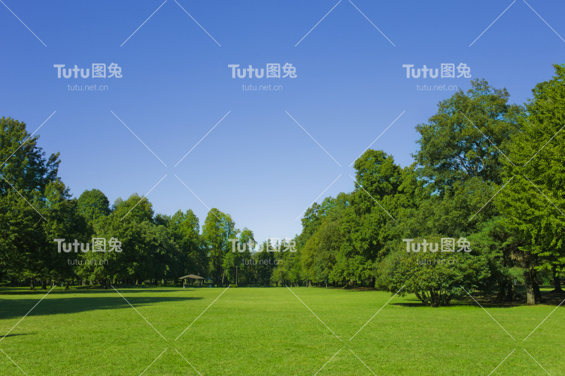 公園 芝生広場
