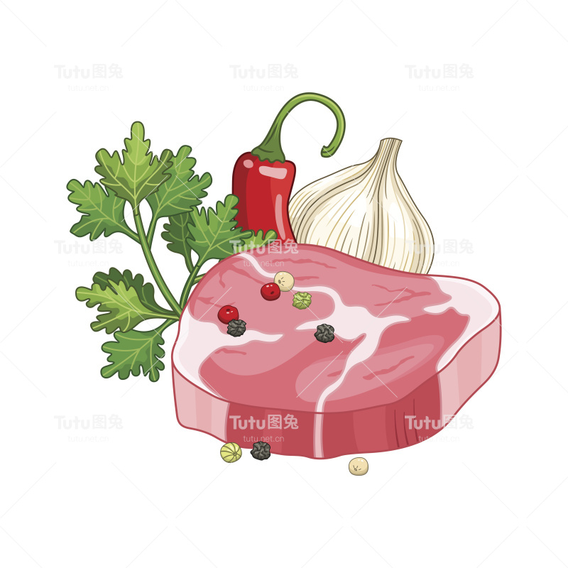 肉排菜肴矢量插图与香料