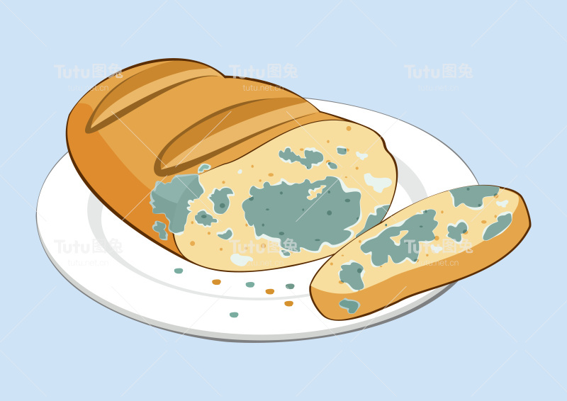 过期发霉的食物