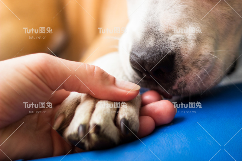 伟大的爱
