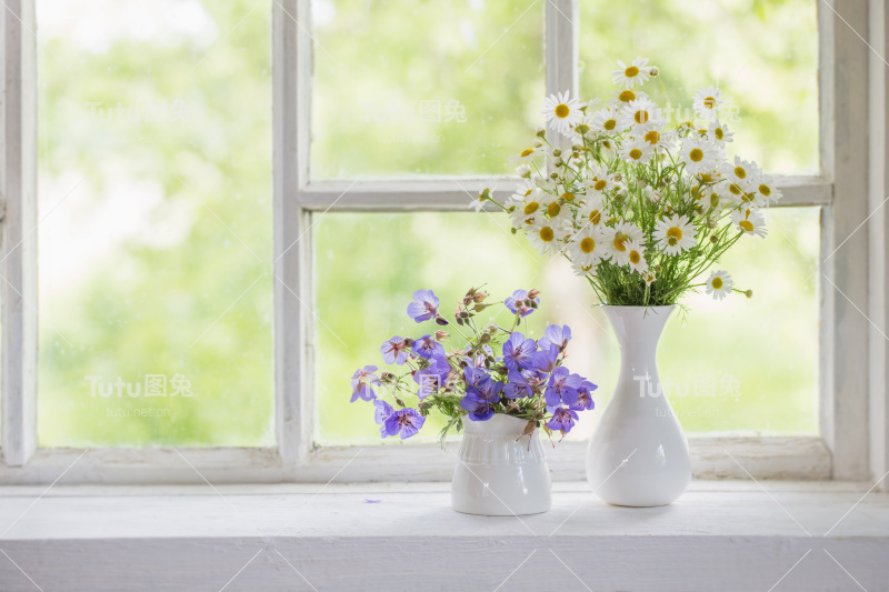 窗台上花瓶里的花