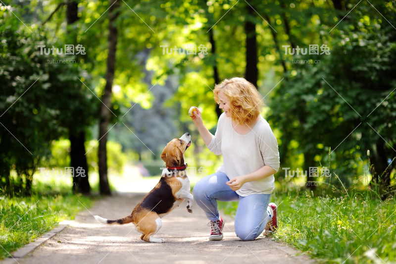 年轻漂亮的女人和比格犬玩耍