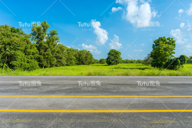柏油路和绿色稻田