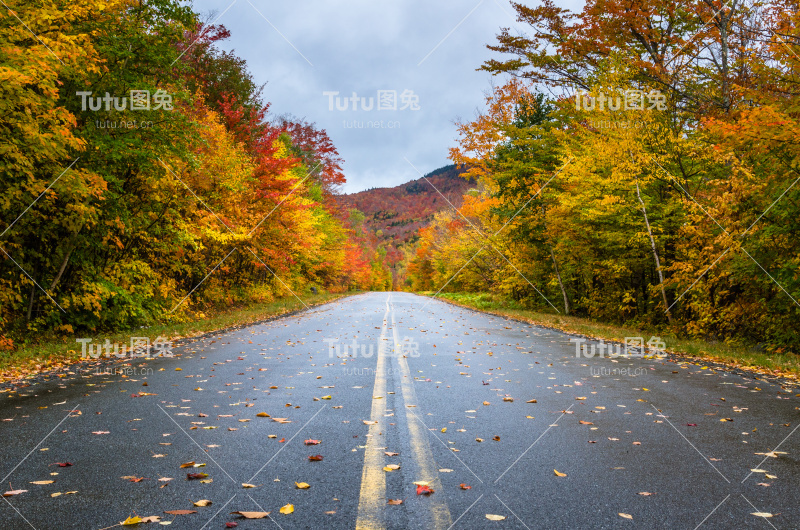 秋天风景区山路在一个雨天