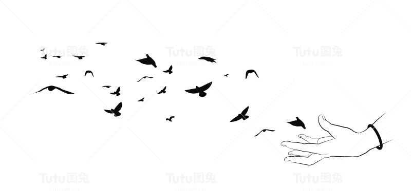 飞翔的小鸟和白色背景上的手的剪影。矢量插图。孤立的鸟飞和手。绘画解剖学。