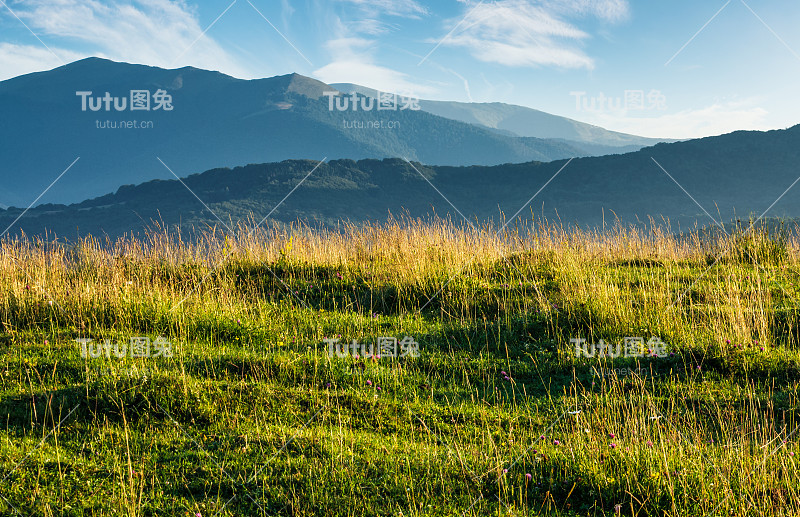 山上的草地是夏天的风景