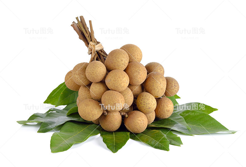 白底龙眼(Dimocarpus Longan)