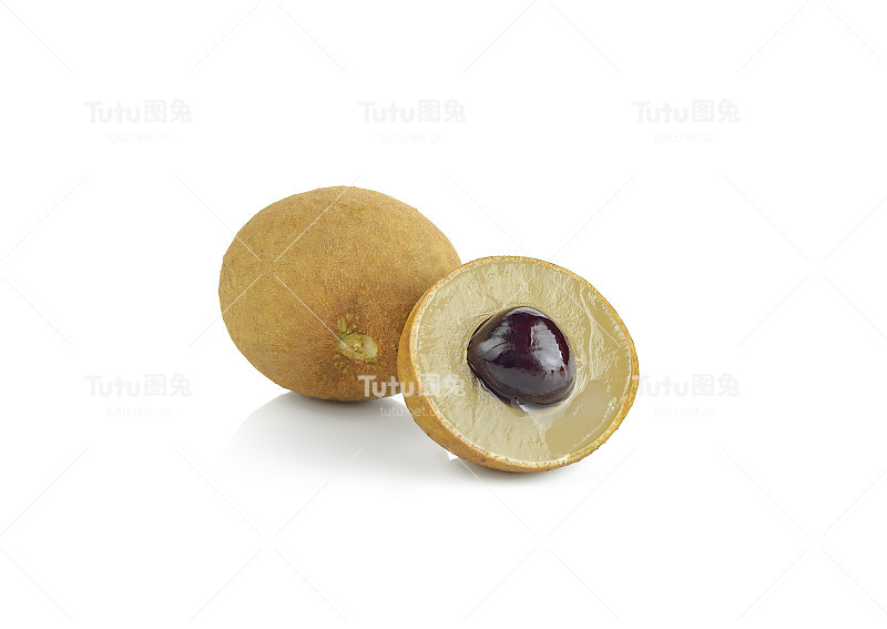 白底龙眼(Dimocarpus Longan)