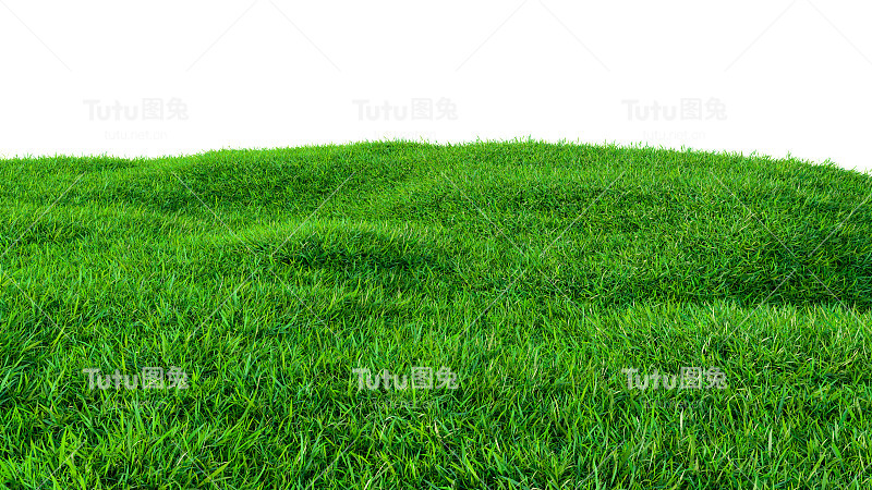 小山上绿油油的草地，与世隔绝