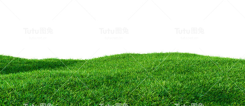 小山上绿油油的草地，与世隔绝