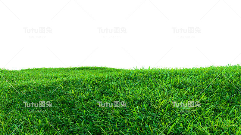绿色的草地孤立在白色的背景上