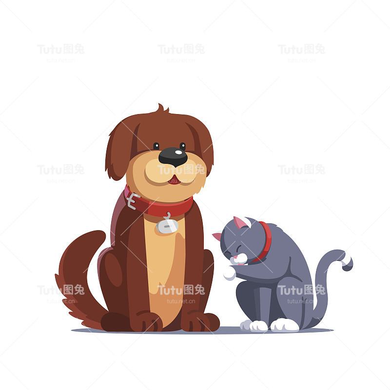 棕色的狗坐在灰猫旁边给自己洗澡