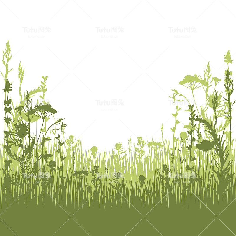 草药轮廓背景