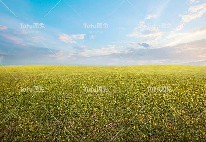 美丽的早晨天空和空旷的绿色草地作为背景