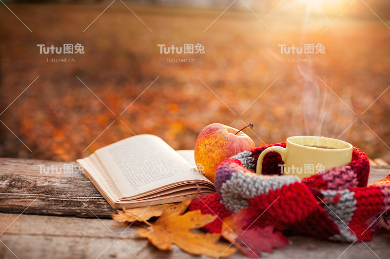茶杯，暖和的围巾，打开书和苹果