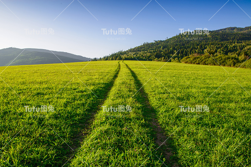 在欧洲的斯洛伐克，一条笔直的路在长满青草的草地上