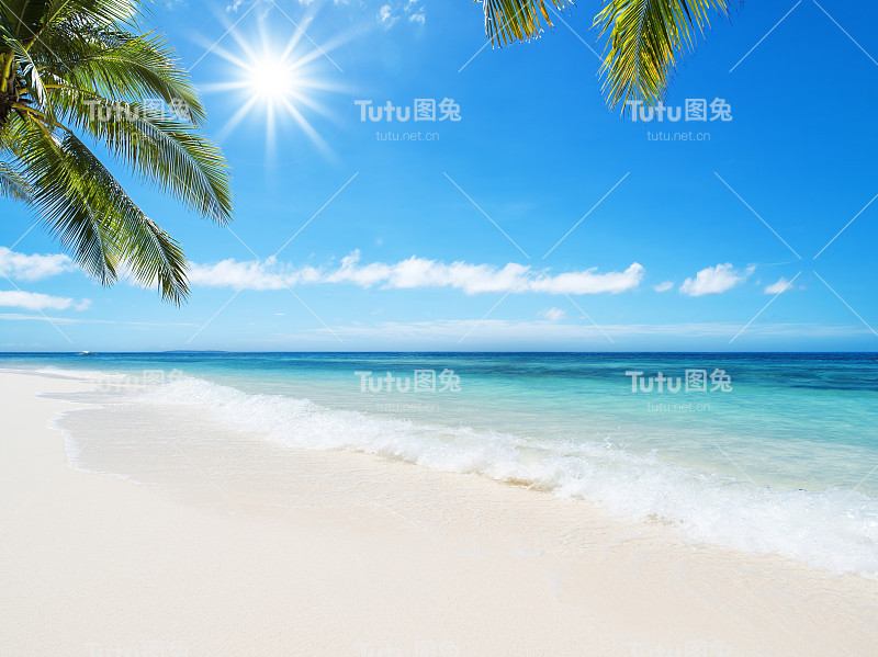 热带海滩田园风光