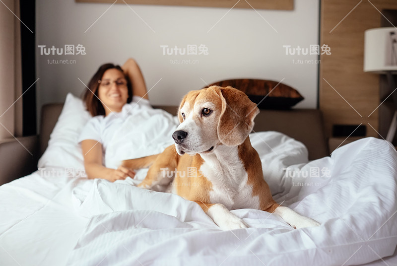 一个女人和她的小猎犬早晨在床上相遇