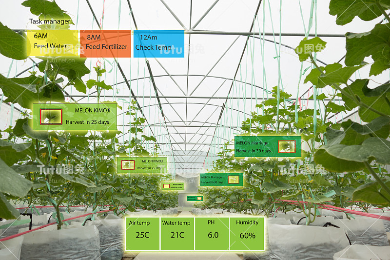 智能农业概念，农学家或农民在农场使用人工智能和增强现实帮助种植系统，节约水，资源减少劳动时间，做出高产和预测