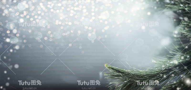美妙的冬季背景与冷杉树枝，雪和散景照明。