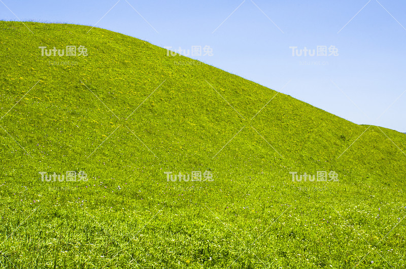 山上绿草如茵，鲜花盛开，天空湛蓝，高山草甸。